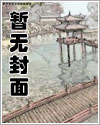 小白菜是什么科属
